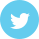 Twitter Social Icon