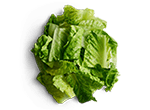 Romaine Lettuce